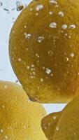 Refreshment Lemons flowing bubbling water closeup Refreshing summer cocktail preparation Yellow sour citrus fruits rising liquid surface in light background video