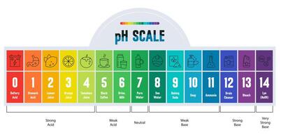 pH Scale Infographic. Color Indicator Chart with icons vector