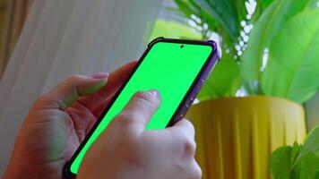 Hands using green screen smartphone in bright room with indoor plants video