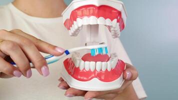 Demonstration of proper brushing technique using a dental model for oral hygiene education video