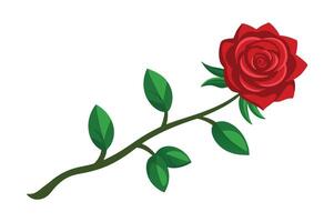 rose design with white background vector