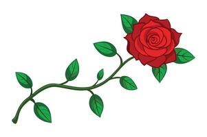Red rose design with white background vector