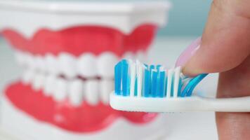 Closeup of toothpaste application on toothbrush before brushing teeth video
