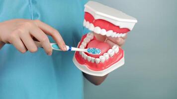 Expert demonstration of proper toothbrushing technique on dental model video