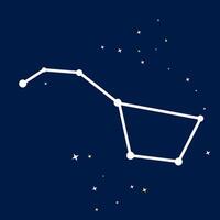 A starry constellation. Astronomy constellation Ursa major vector