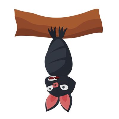 Bat. An animal bat sleeps on a tree branch