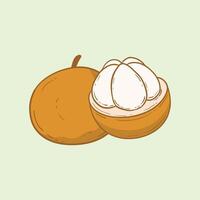 Kecapi Fruit Flat Design Cartoon Illustration vector