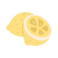 A group of fresh lemon fruits. One whole and half citrus is isolated on a white background. flat illustration with doodle lines. of yellow lemon fruits. A taste for tea drinking vector