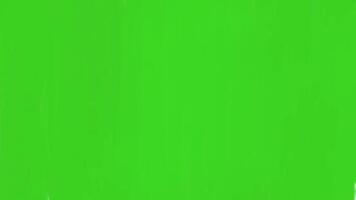 animado velozes trovão iluminação em verde tela ou transparente background.animation instantâneo trovão efeito rgb alfa canal video