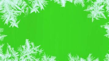 animation ice frozen effect on green screen or trasnparent background.animated frost effect rgb alpha channel video