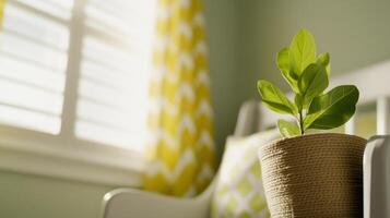 peaceful nursery featuring potted plant, soft green walls, and bright yellow curtains creates serene atmosphere for relaxation photo