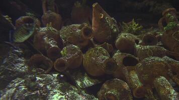 Submerged amphorae resting in underwater ruins evoking myth, lost civilizations video