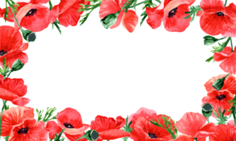 Hand drawn red poppies with rectangular copy Space png