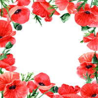 square Card with red poppies with copy Space. Design for posting or greeting png