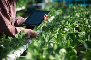 Female farmer inspecting her smart farm grain field. technology and send data to the cloud from the tablet. in the analysis and control of plant quality in the soil smart photo
