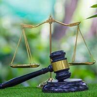 Environment Law. Green World and gavel with scales of justice on the green. law for principles of sustainable environmental conservation. law that governs how humans interact with their environment photo