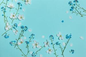 Spring aqua blue background with white blooming apple and forget-me-not flowers, close-up top view, horizontal composition, top flat view with empty place for text photo