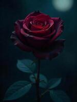 A single dark red rose with a long stem and a few leaves, in a dark environment photo