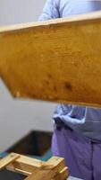 Beekeeper removing excess bees wax with scraper on a frame with honeycomb full of fresh honey. Vertical video