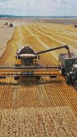 Harvester machine working in field. video