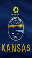 Kansas State Waving Flag in Vertical Orientation. Realistic Flag Animation. Seamless Loop Background. video