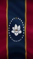 Mississippi State Waving Flag in Vertical Orientation. Realistic Flag Animation. Seamless Loop Background. video