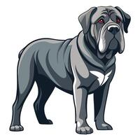 Regal Neapolitan Mastiff Dog Isolated on a Pristine White Background vector