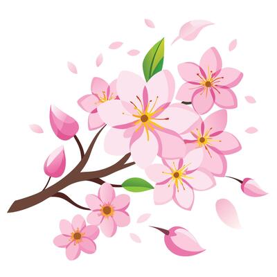 Transparent Cutout of Cherry Blossom Flowers on a Clear Background