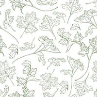 Natural seamless pattern with parsley leaves hand drawn with green contour lines on white background. Backdrop with aromatic plant, culinary spice herb. Monochrome realistic illustration. vector