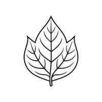 Minimalist Leaf Outline on White Background vector