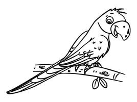 Parrot on a branch outline for color illustration vector