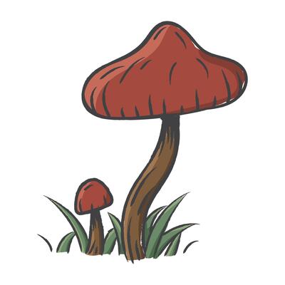Sketch mushroom. Hand drawn forest mushroom with grass. Mushrooms hand drawn illustration. Mushroom line art