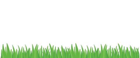 Green Grass Meadow Bottom Border for Background Element Decoration Illustration vector