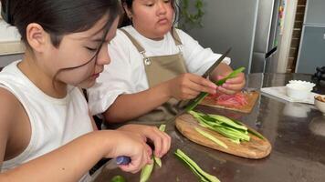 Two asian girls sisters are preparing fresh cucumber slices and salmon for a healthy meal video