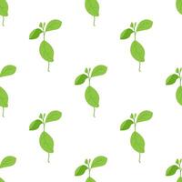 Seamless texture with green sprout. Background with a young plant on a white background. Grass. Spring. vector