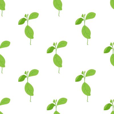 Seamless texture with green sprout. Background with a young plant on a white background. Grass. Spring.