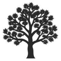 Silhouette Of A Mature Joshua Tree Against White Background Graphic Element vector