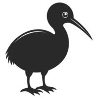 Kiwi Bird Illustration Simple Graphic Icon Symbol New Zealand National Bird vector