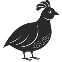 Illustration Of A Quail With A Crest Graphic Silhouette Style vector