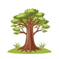 Big tall tree with green leaves isolated on white background. Spring illustration in flat style. vector