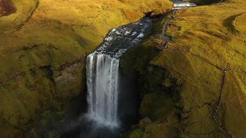 Skogafoss waterfall flowing through green cliffs in Iceland video