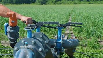 Irrigation system with blue valves installed in crop field for watering. video