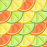 Tropical fruits botanical pattern with citrus slices vector