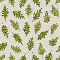 Seamless pattern with poppy leaves. Floral wallpaper, abstract nature background. Summer illustration. Print design template vector