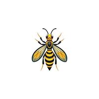 Wasp Side View Sketch for Entomology Concept Design vector
