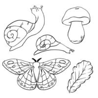 Sketch of Mushroom, oak leaf, snails and butterfly. Forest Set hand painted by black inks in line art style. Moth, snail and mushrooms outline painted Pen and Ink. EPS10 vector
