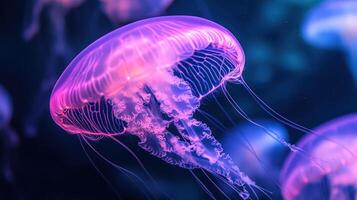 Light Violet Jellyfish Gracefully Floating Underwater in a Vibrant Ocean Environment photo