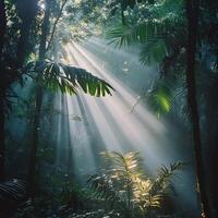 Sunlight Pierces Through the Dense Jungle Canopy Creating a Mystical Atmosphere photo