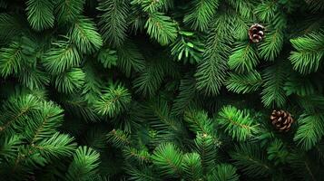 Close-up View of Lush Green Christmas Tree Branches With Pine Cones Creating a Festive and Natural Backdrop photo