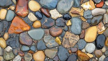 Captivating Wet Pebbles Create a Stunning Mosaic on the Beach After a Refreshing Rain photo